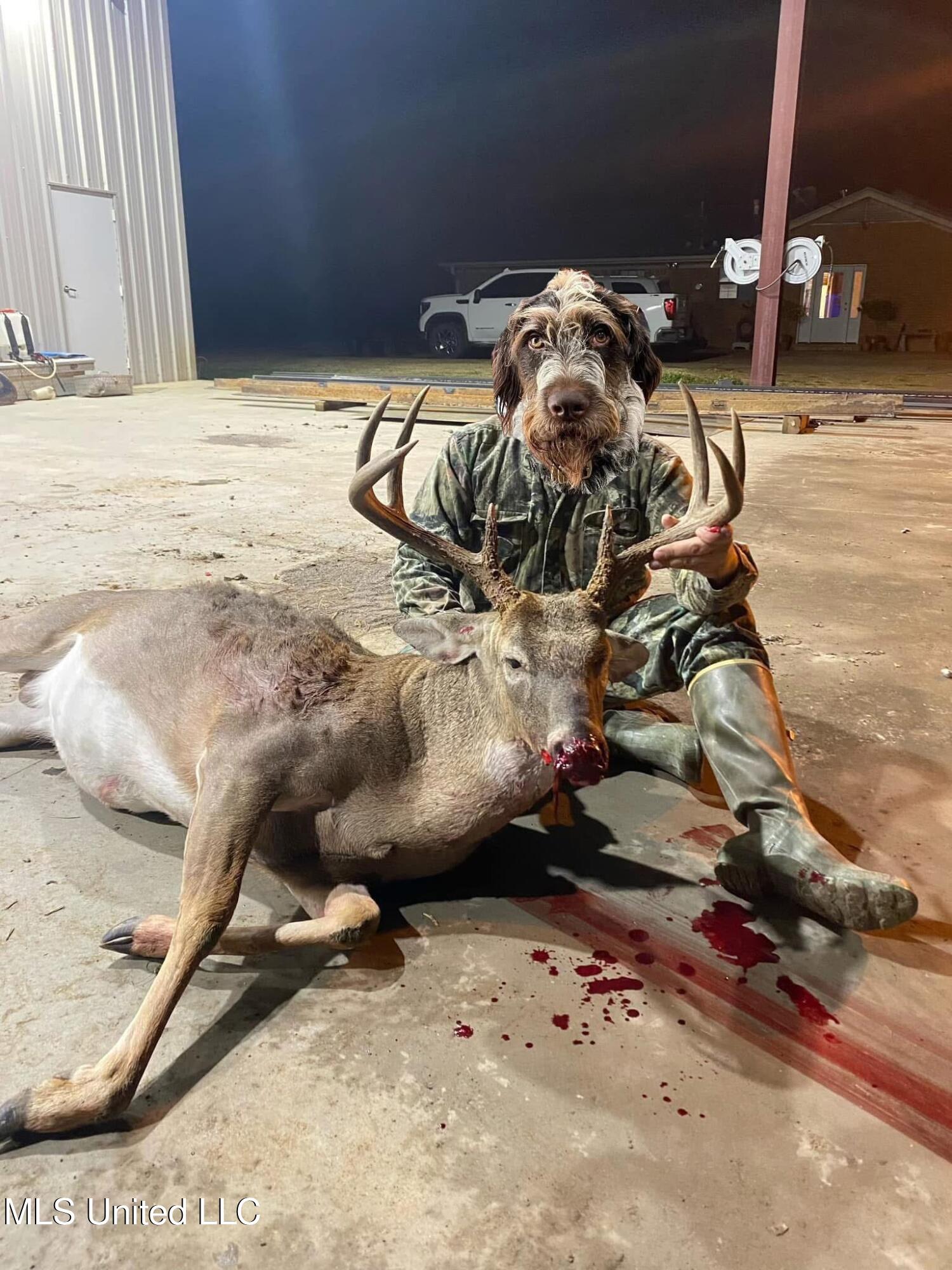 448 Ms Shaw, MS 38773 - Photo 46 of 53 Photo Apr 10 2025, 6 33 13 PM (2)