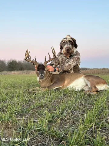 $3,475,650 | 448 Ms, Shaw, MS 38773