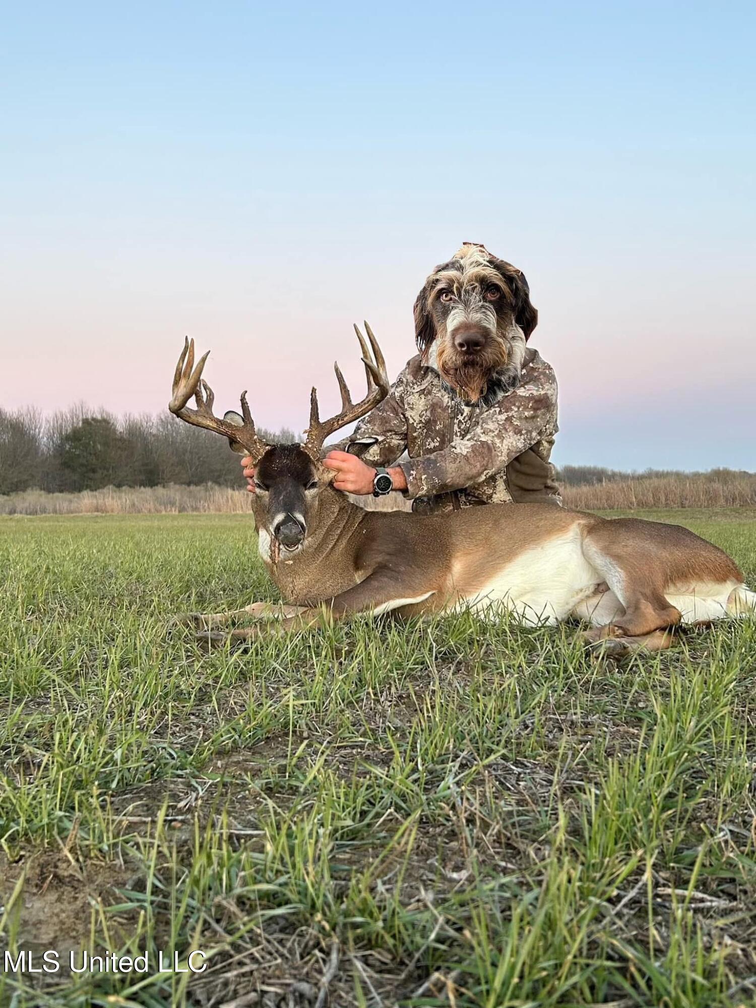 448 Ms Shaw, MS 38773 - Photo 47 of 53 Photo Apr 10 2025, 6 33 13 PM