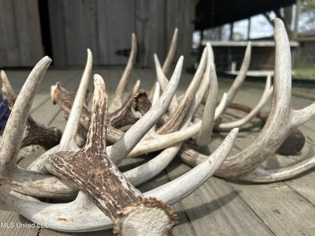 $3,475,650 | 448 Ms, Shaw, MS 38773