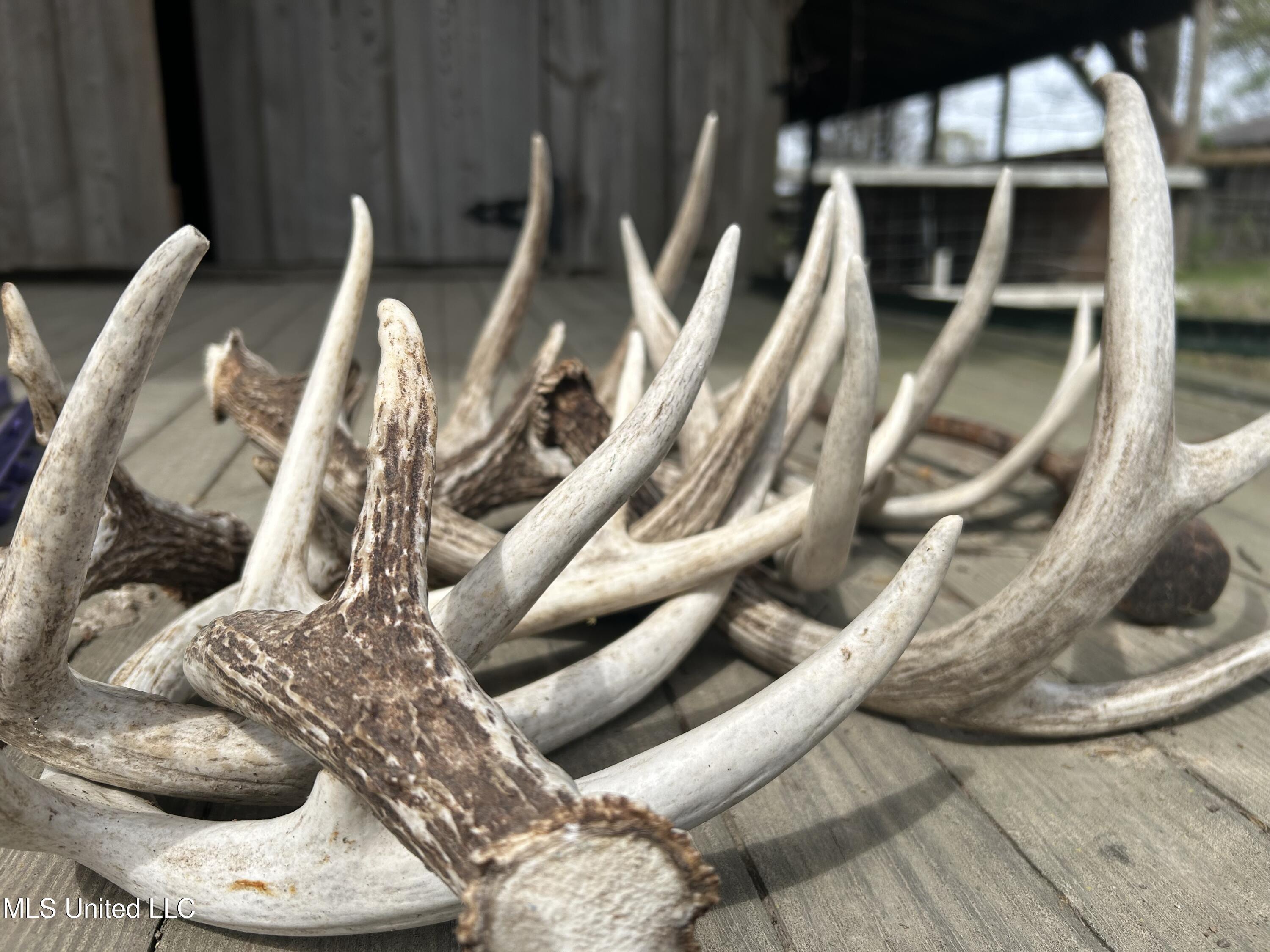 448 Ms Shaw, MS 38773 - Photo 48 of 53 Photo Mar 28 2025, 11 42 48 AM