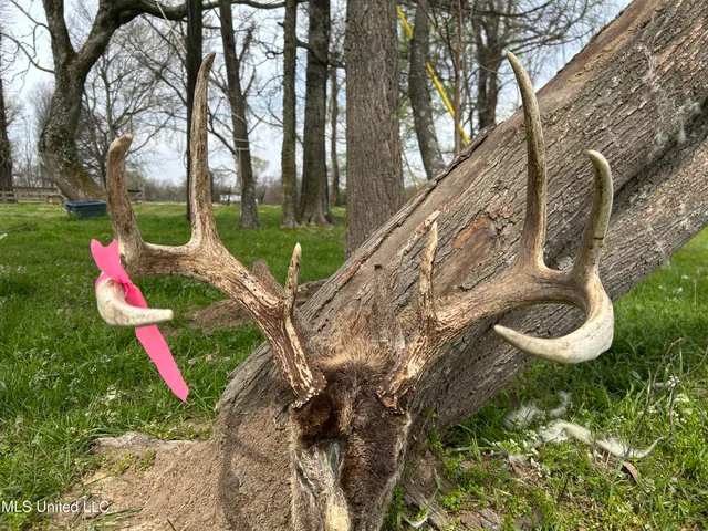 $3,475,650 | 448 Ms, Shaw, MS 38773