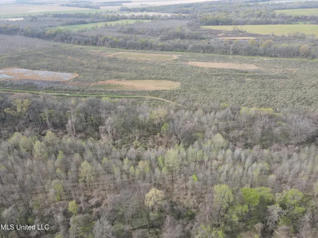 $3,475,650 | 448 Ms, Shaw, MS 38773