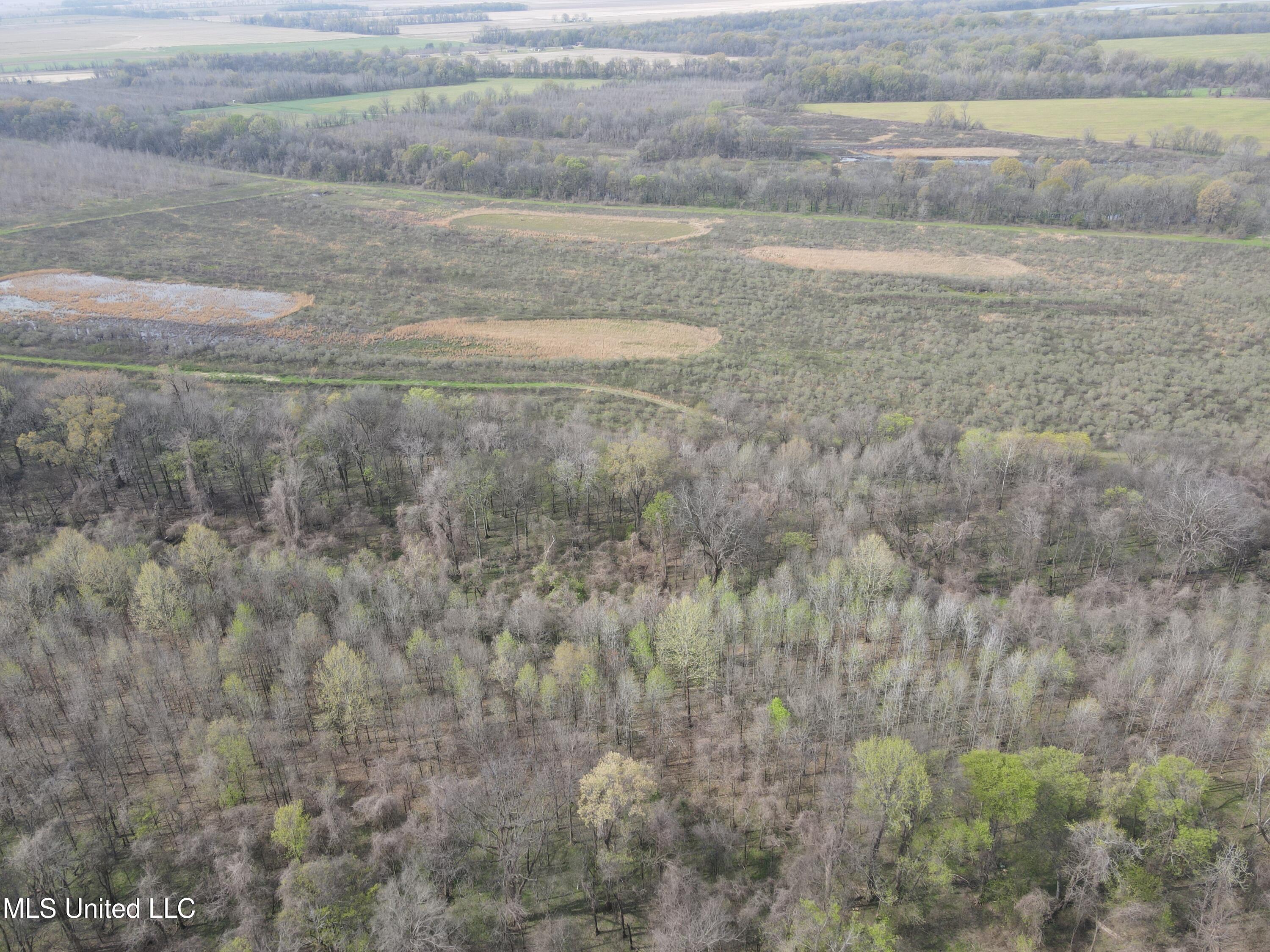 448 Ms Shaw, MS 38773 - Photo 5 of 53 DJI_0070