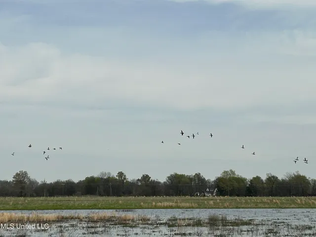 $3,475,650 | 448 Ms, Shaw, MS 38773