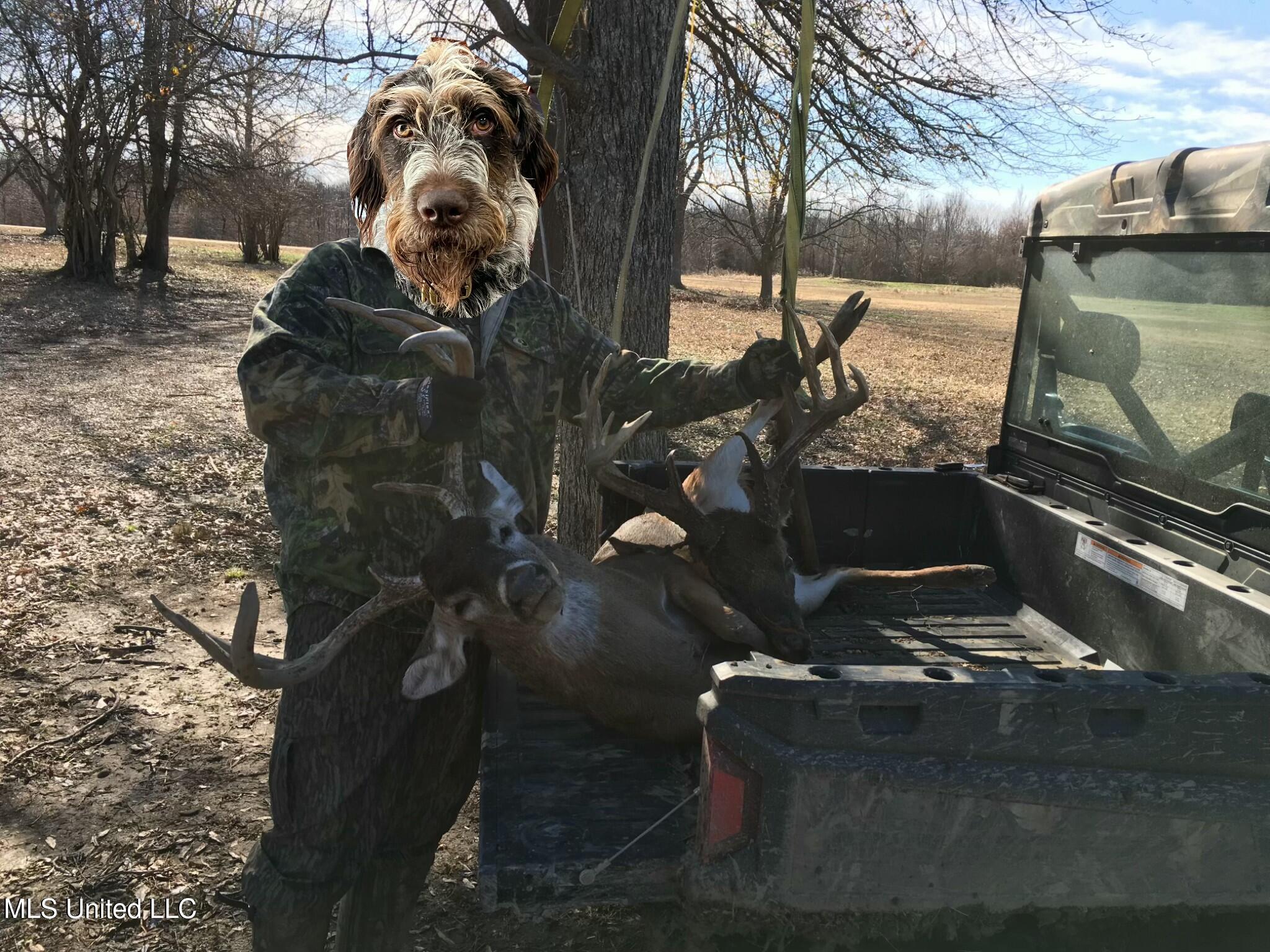 448 Ms Shaw, MS 38773 - Photo 52 of 53 SIX_3F73BCFF-31C0-4116-A486-32BE5D5119F1