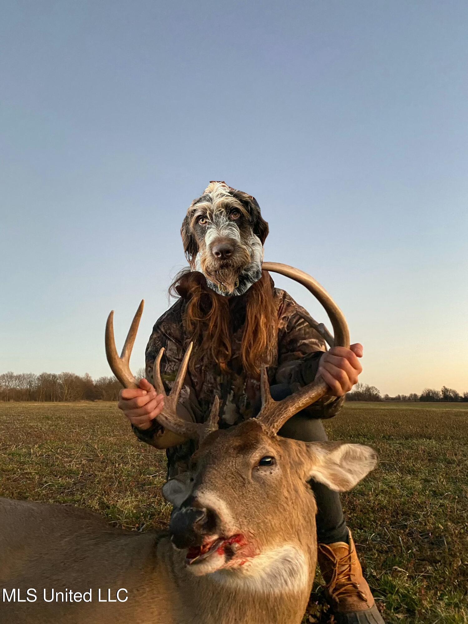 448 Ms Shaw, MS 38773 - Photo 53 of 53 SIX_75E0CD2D-8C5B-43F8-B412-32F61EE4A31E