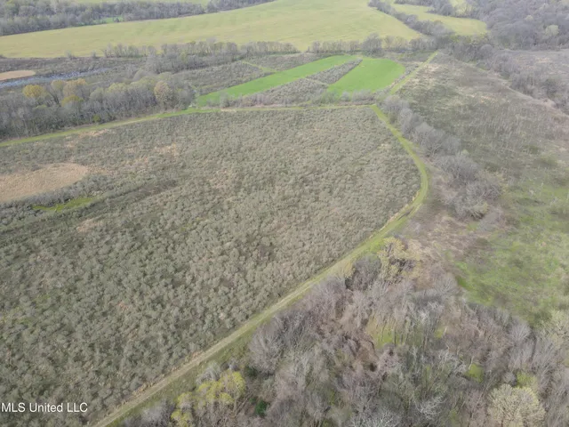 $3,475,650 | 448 Ms, Shaw, MS 38773