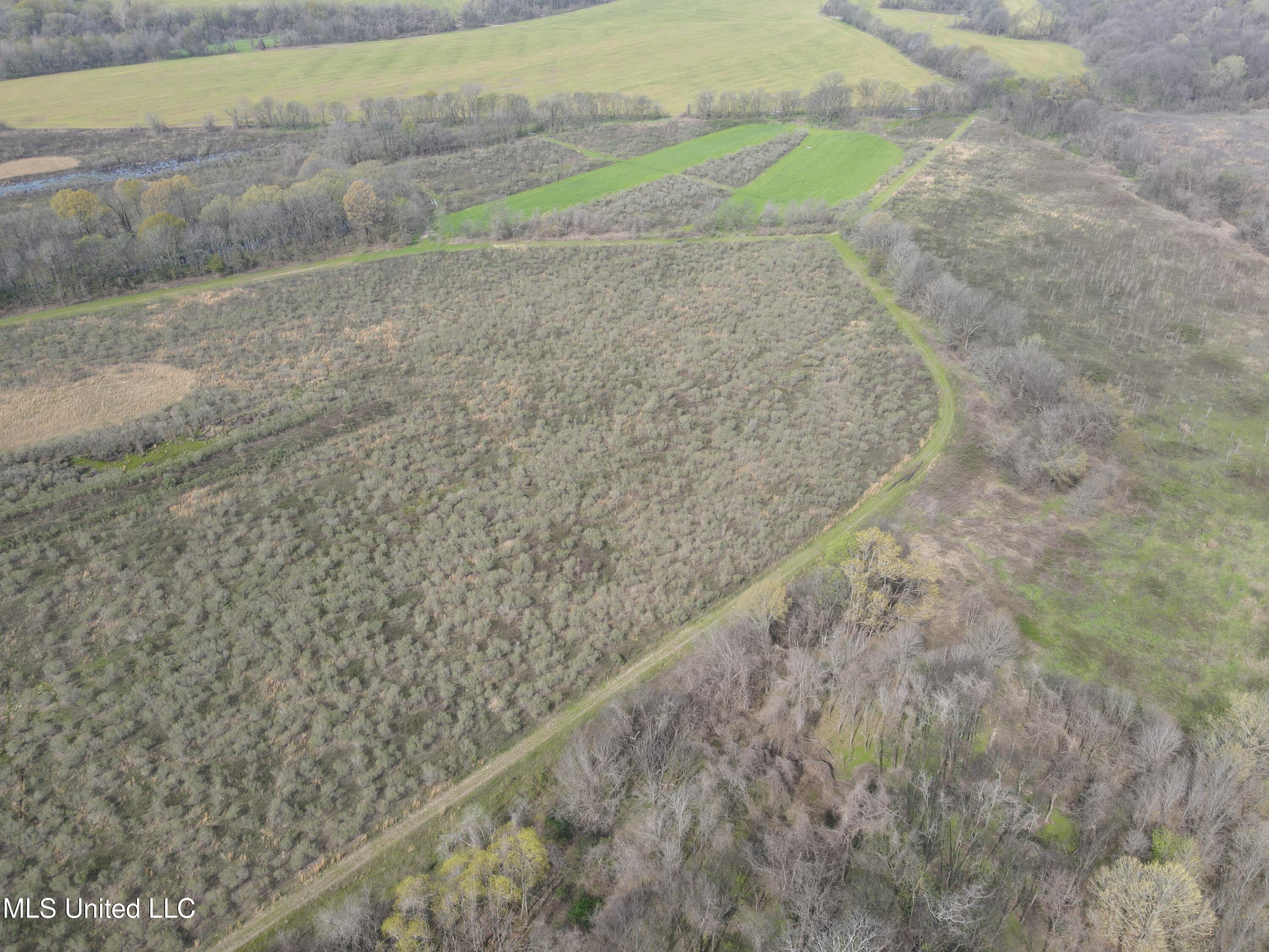 448 Ms Shaw, MS 38773 - Photo 7 of 53 DJI_0076