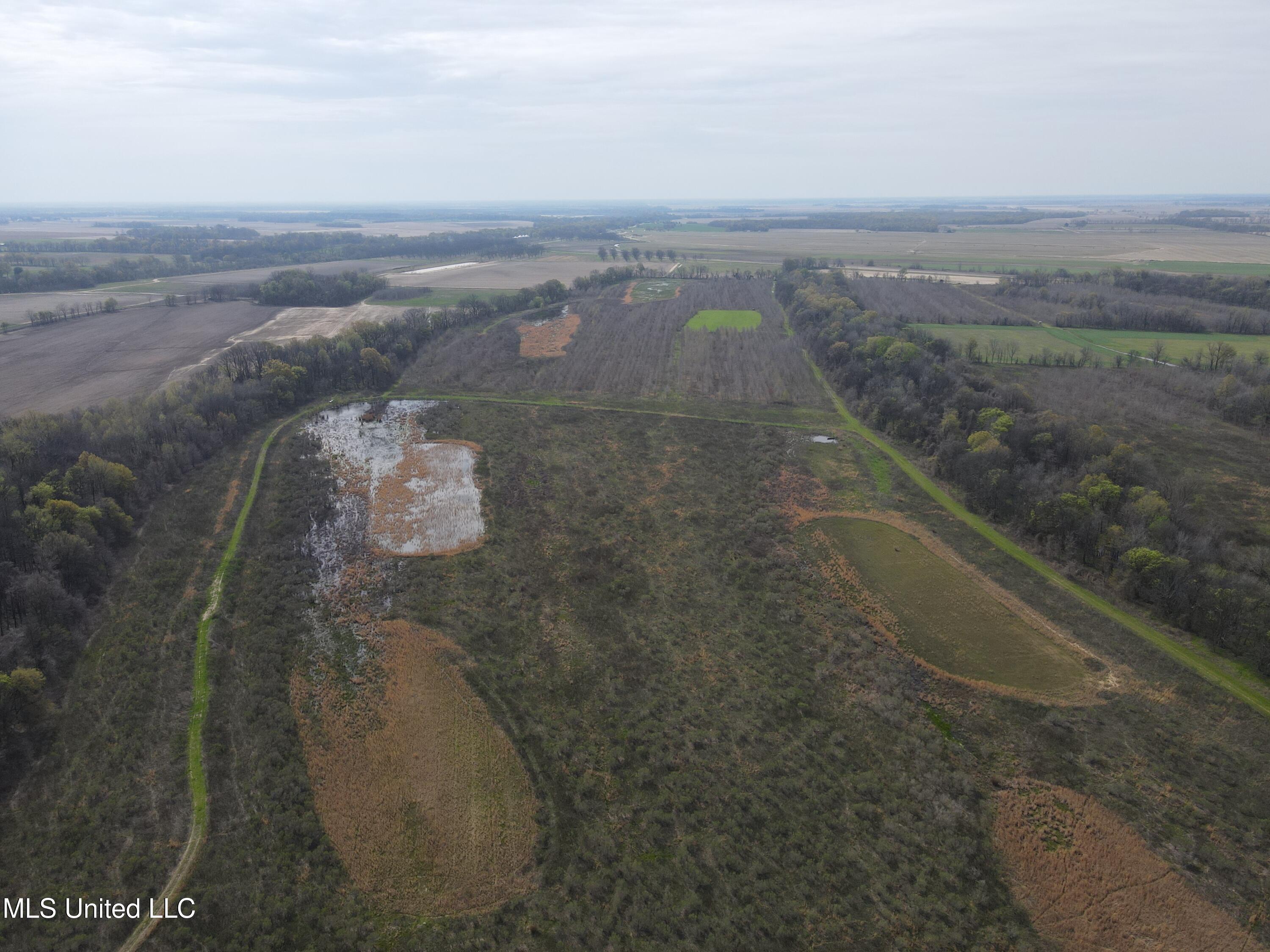 448 Ms Shaw, MS 38773 - Photo 8 of 53 DJI_0081