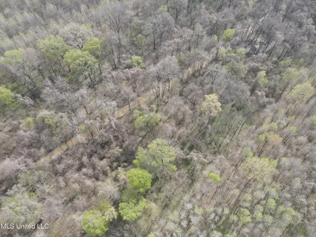 $3,475,650 | 448 Ms, Shaw, MS 38773