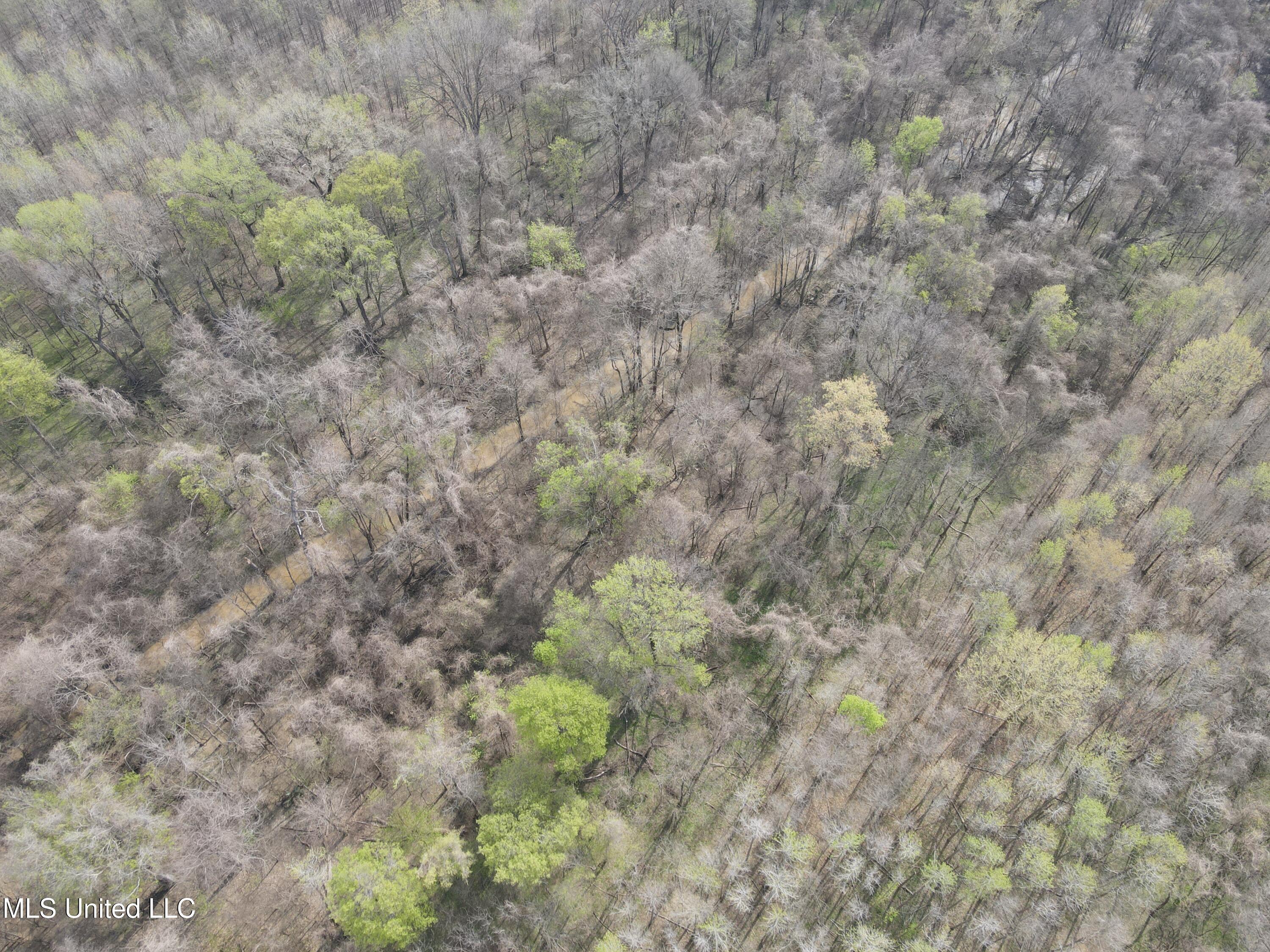 448 Ms Shaw, MS 38773 - Photo 9 of 53 DJI_0082