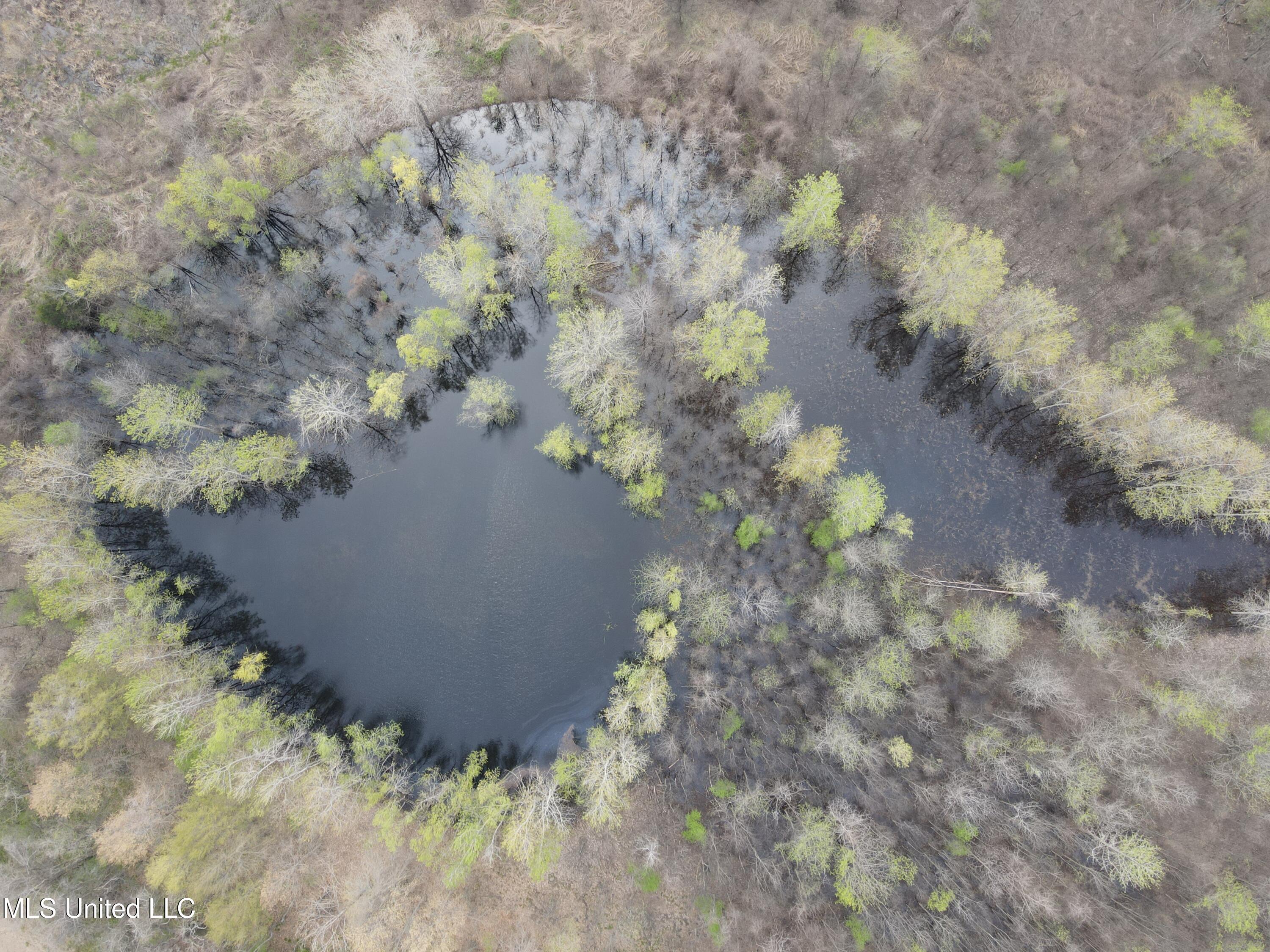 448 Ms Shaw, MS 38773 - Photo 10 of 53 DJI_0088