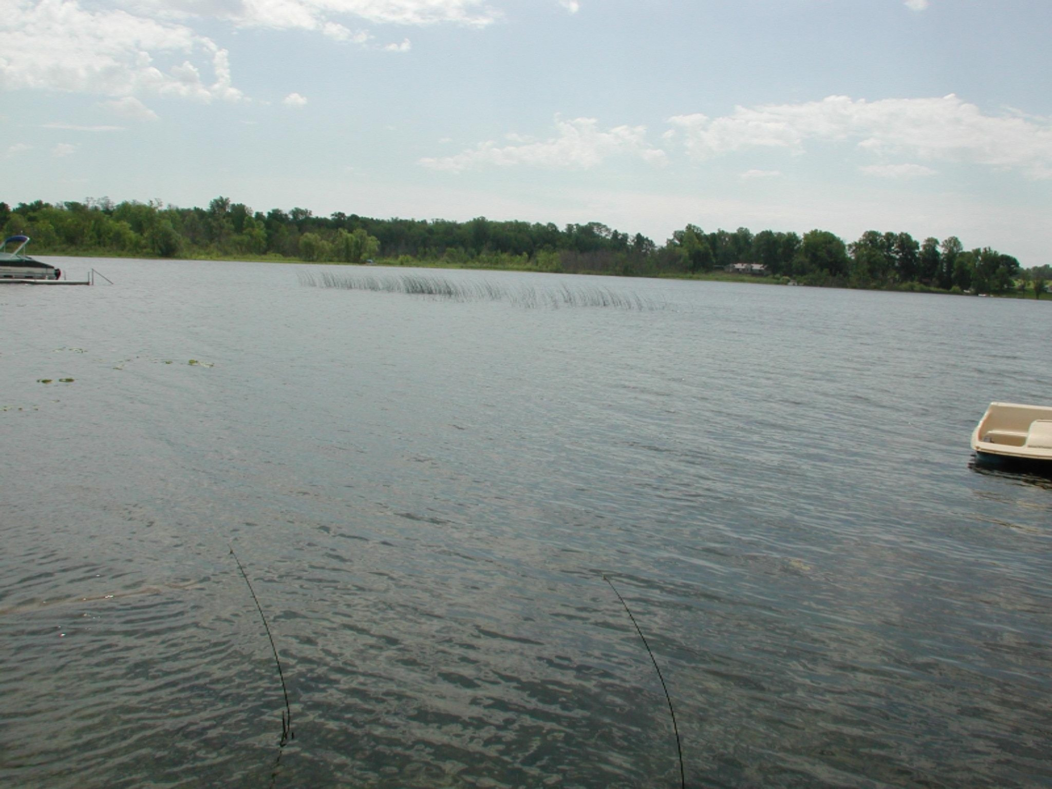 17371 Dewey Lake Street Decatur, MI 49045 - Photo 28 of 28 DSCN6841