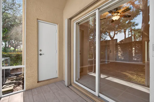 a view of a park with a tree