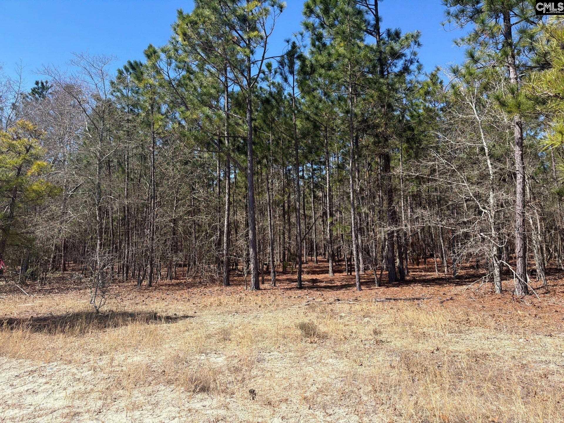 10 Boise Cascade Road, Unit BHL 10 Bethune, SC 29009 - Photo 22 of 24
