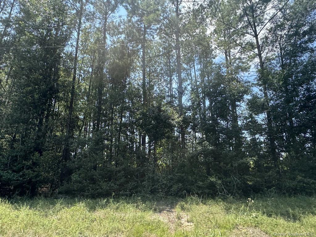 0 Ward Road Oakdale, LA 71463 - Photo 11 of 25 Gallery Image 11