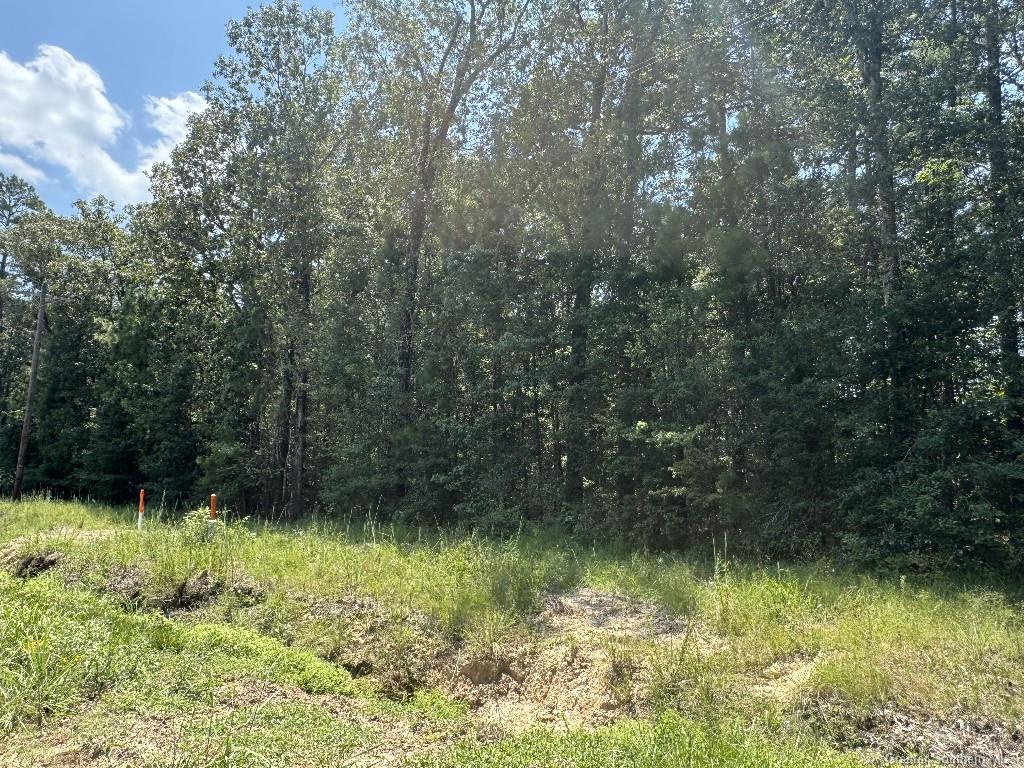 0 Ward Road Oakdale, LA 71463 - Photo 12 of 25 Gallery Image 12