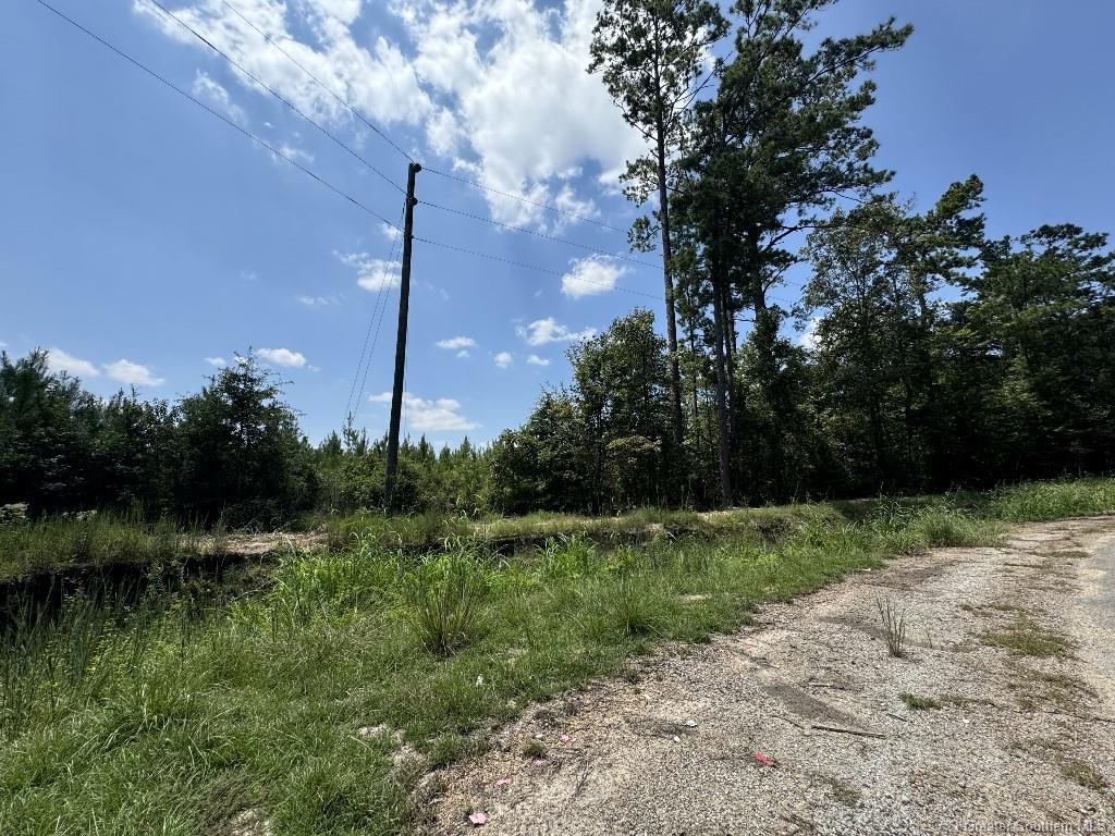 0 Ward Road Oakdale, LA 71463 - Photo 16 of 25 Gallery Image 16