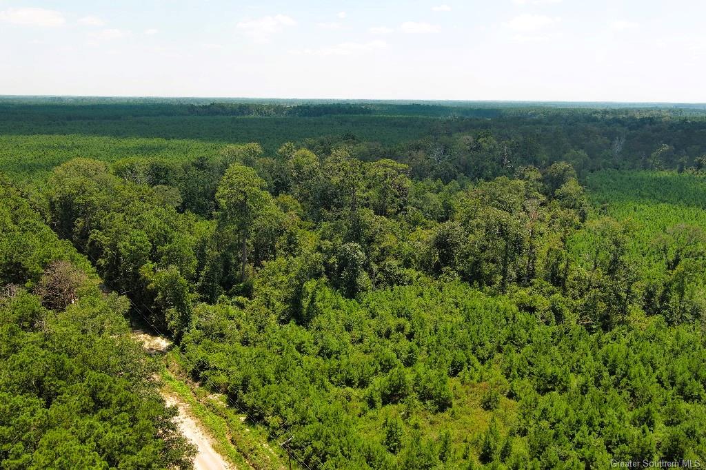 0 Ward Road Oakdale, LA 71463 - Photo 20 of 25 Gallery Image 20