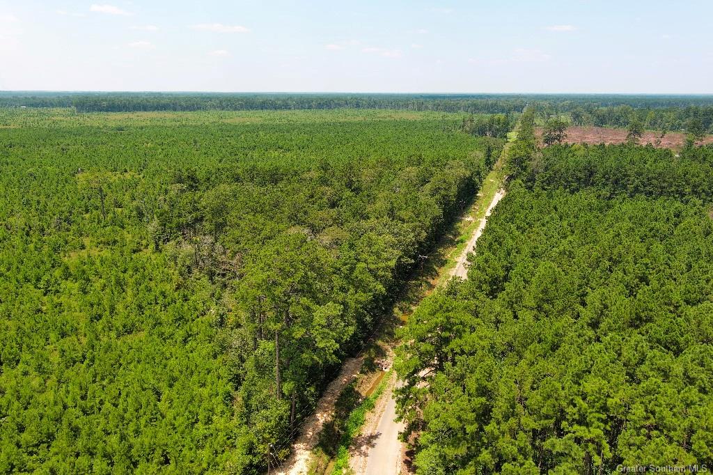 0 Ward Road Oakdale, LA 71463 - Photo 21 of 25 Gallery Image 21