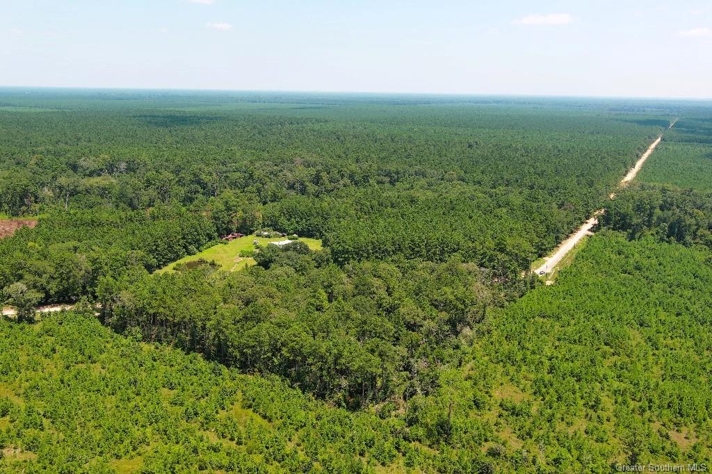 0 Ward Road Oakdale, LA 71463 - Photo 22 of 25 Gallery Image 22