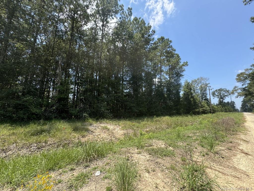 0 Ward Road Oakdale, LA 71463 - Photo 24 of 25 Gallery Image 24