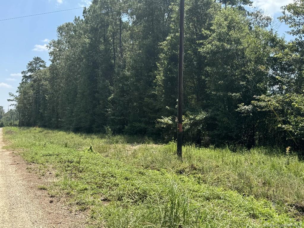 0 Ward Road Oakdale, LA 71463 - Photo 9 of 25 Gallery Image 9