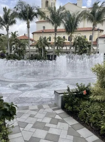 a view of a yard with plants and palm trees