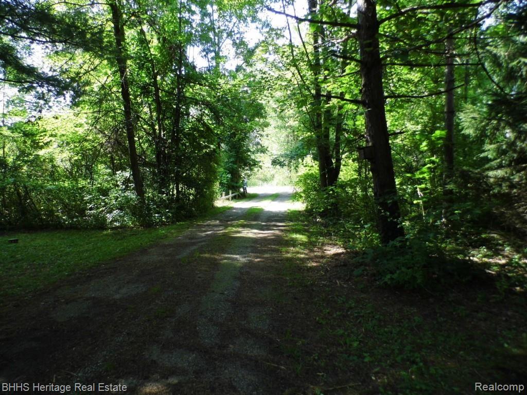 6950 West Sober Road Fowlerville, MI 48836 - Photo 2 of 32 Driveway view from house