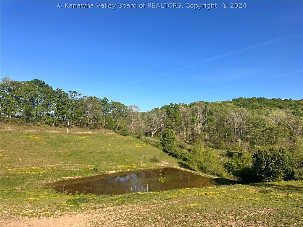1501 Vicars Ridge Road Gandeeville, WV 25243 - Photo 3 of 22 Gallery Image 3