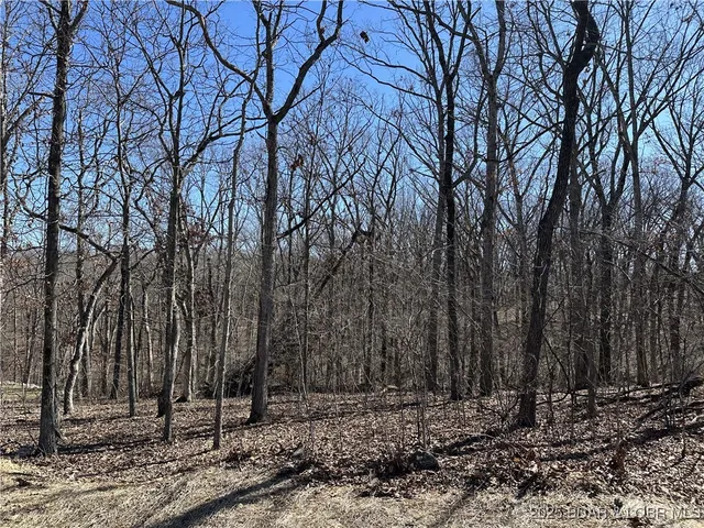 $8,000 | Lot 946-947 Nassau Circle, Four Seasons, MO 65049