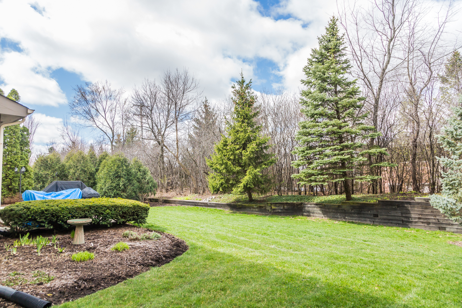 848 Kent Circle Bartlett, IL 60103 - Photo 22 of 23 a view of yard with green space