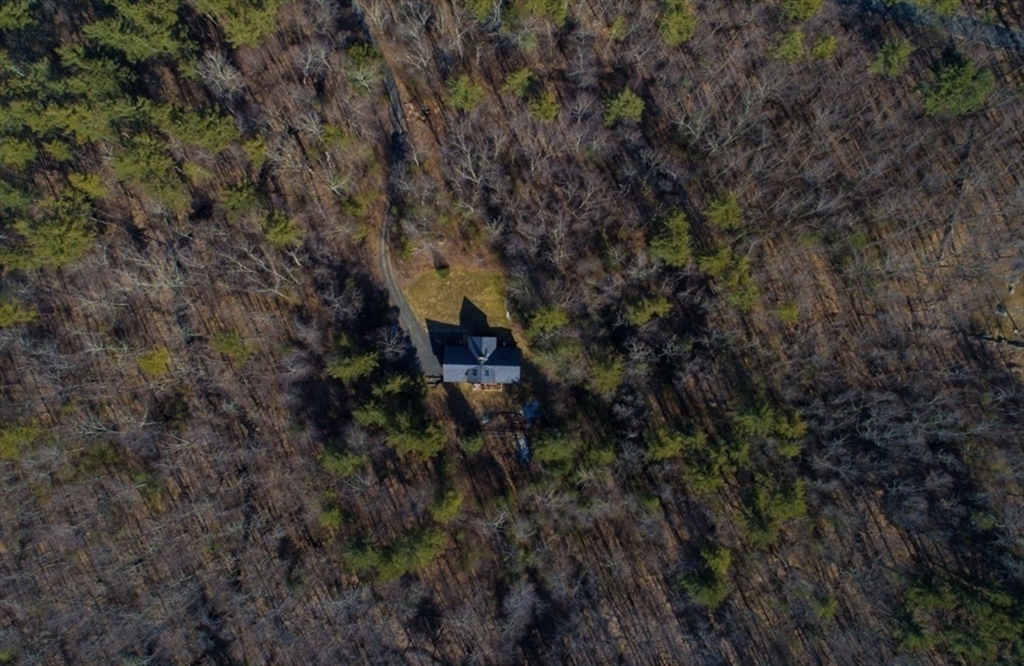 1854 Greenwich Road Hardwick, MA 01082 - Photo 10 of 42 a view of a forest with a tree