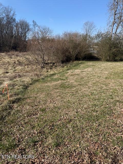 320 Hicks Street Athens, TN 37303 - Photo 13 of 26 IMG_7534