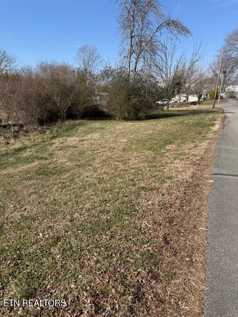 320 Hicks Street Athens, TN 37303 - Photo 14 of 26 IMG_7535