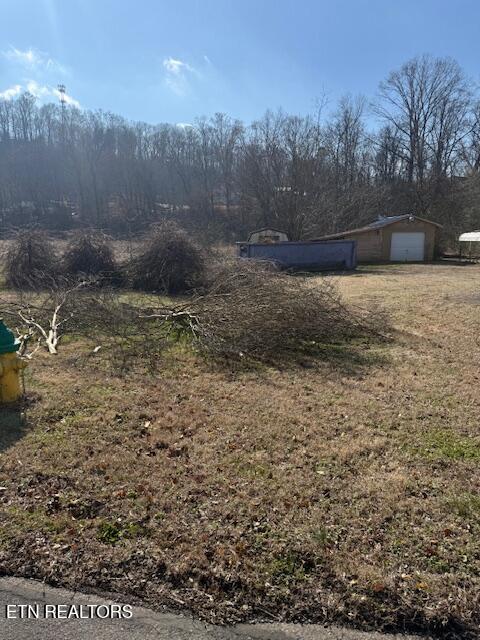 320 Hicks Street Athens, TN 37303 - Photo 17 of 26 IMG_7538