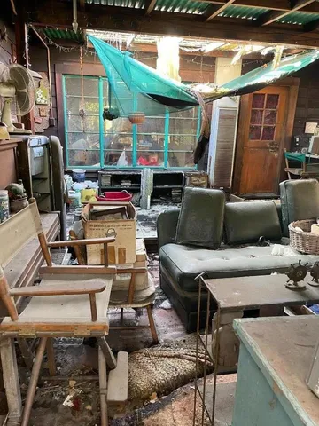 a view of a backyard with plants