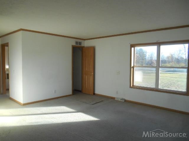 457 Mayer Road Goodells, MI 48027 - Photo 22 of 24
