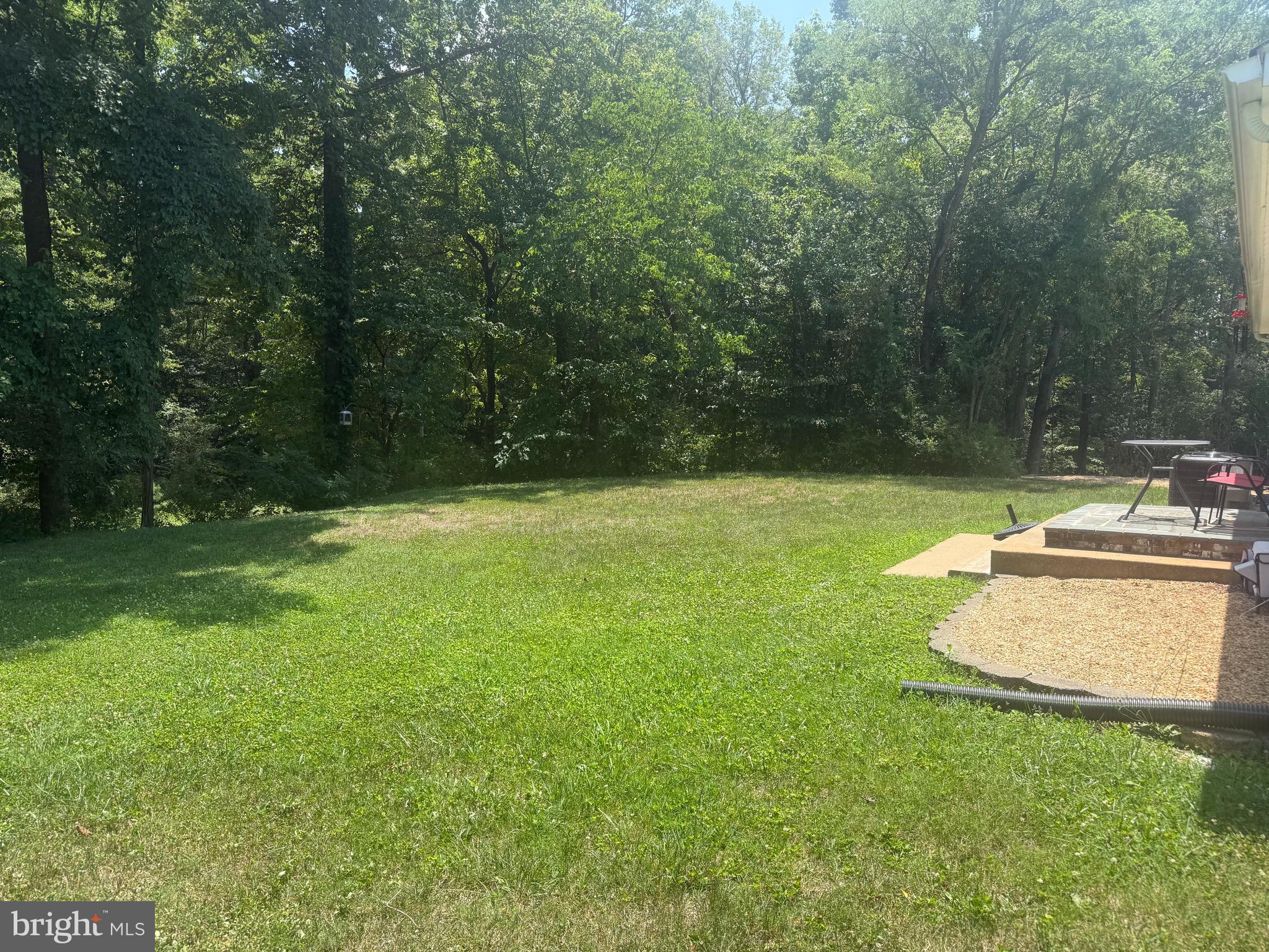 10143 Indiantown Road King George, VA 22485 - Photo 6 of 35 side yard