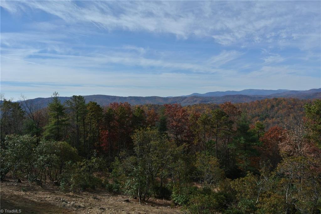 4661 Staghorn Road Purlear, NC 28665 - Photo 8 of 28