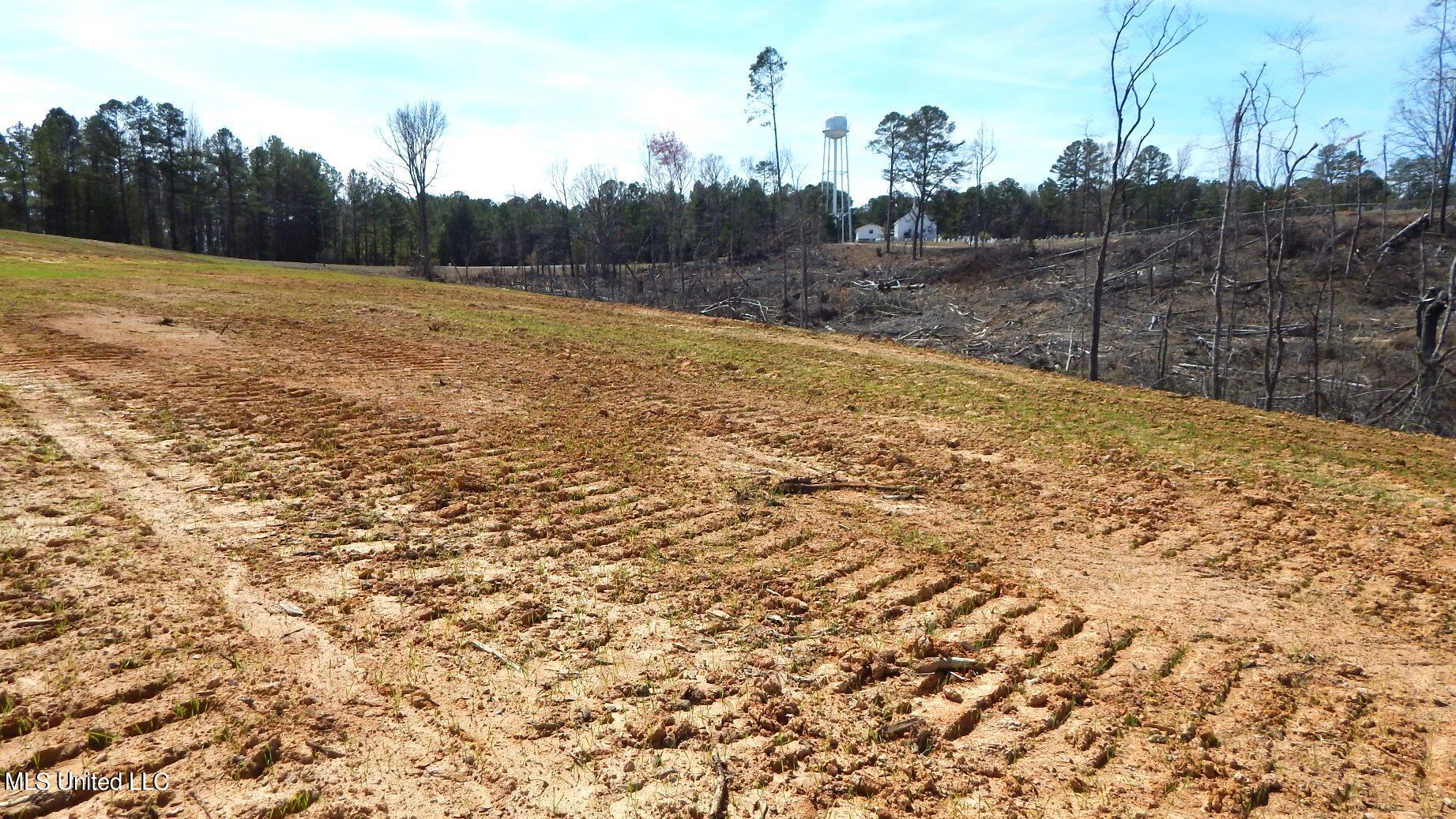 400 Old Academy Road Gore Springs, MS 38929 - Photo 4 of 24 DSCN4910