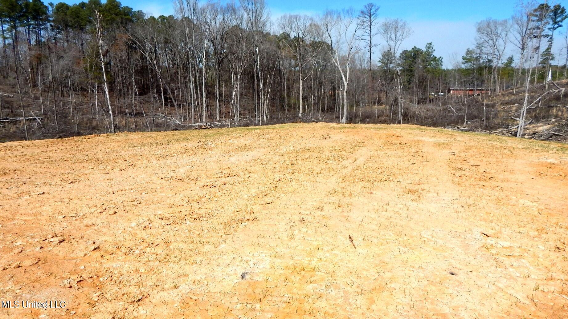 400 Old Academy Road Gore Springs, MS 38929 - Photo 8 of 24 DSCN4918