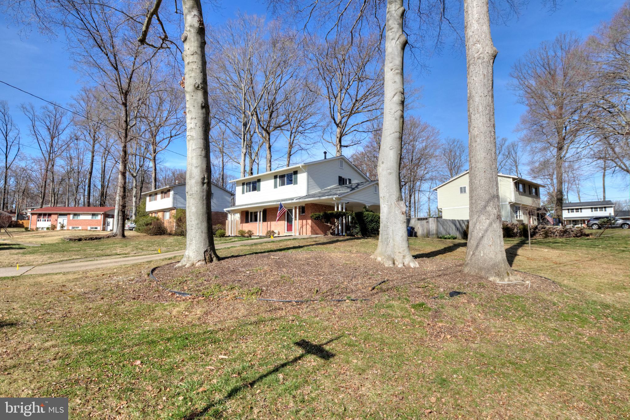 8900 Cromwell Drive Springfield, VA 22151 - Photo 36 of 40
