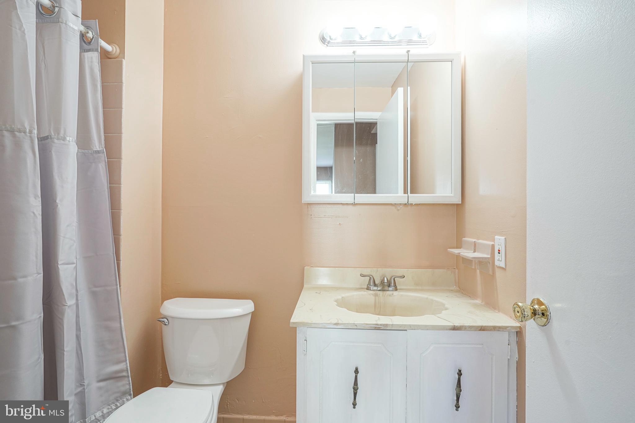133 Willow Turn Mount Laurel, NJ 08054 - Photo 20 of 24 a bathroom with a sink and a toilet