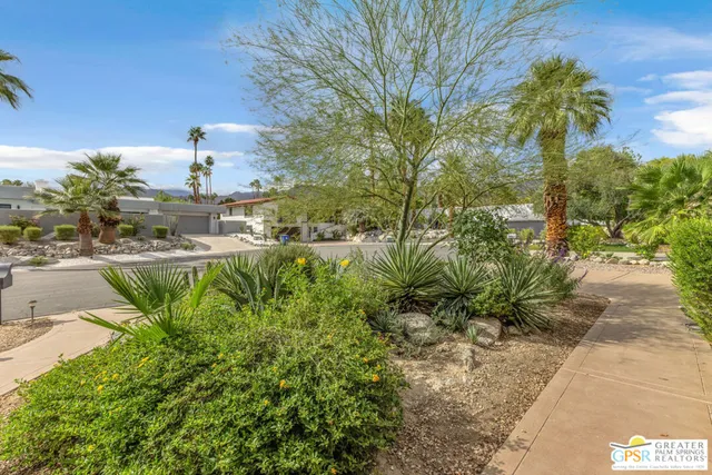 a view of a water fountain and tall trees