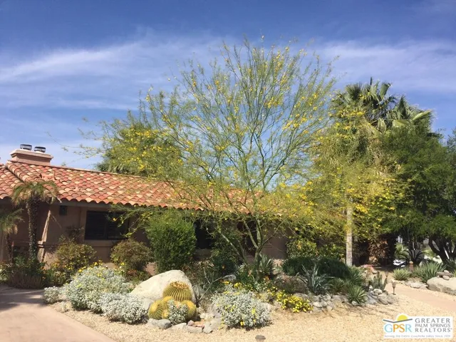 a view of a backyard