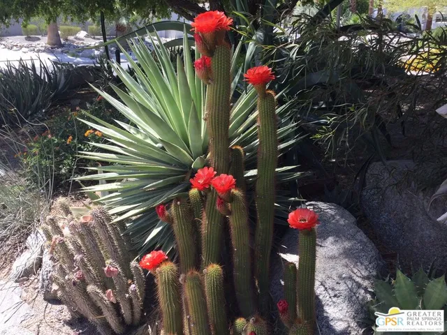 a front view of a house with lots of flowers