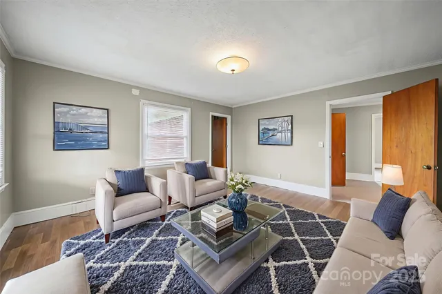 a living room with furniture and a rug