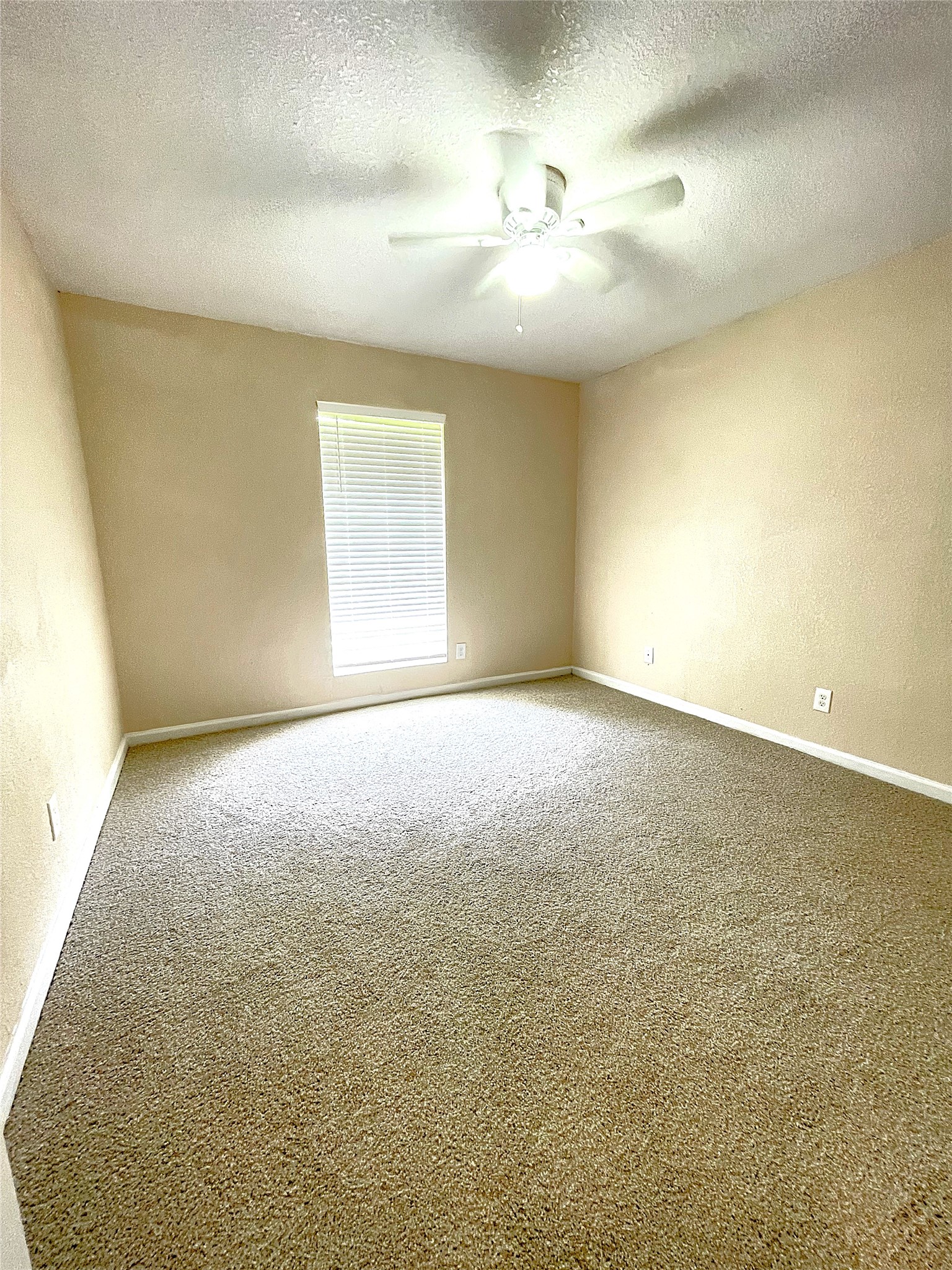 316 Rabbit Trail Lake Jackson, TX 77566 - Photo 21 of 21 Bed 5